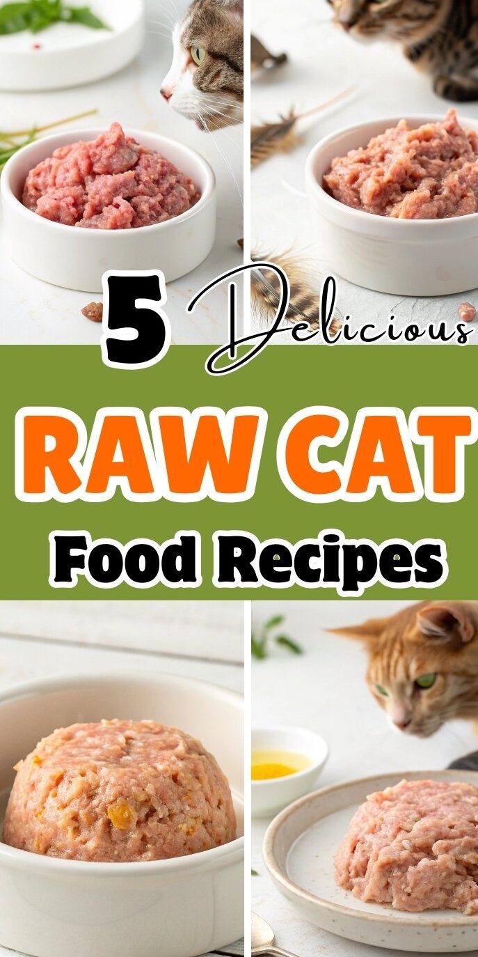  Raw Cat Food Recipes
