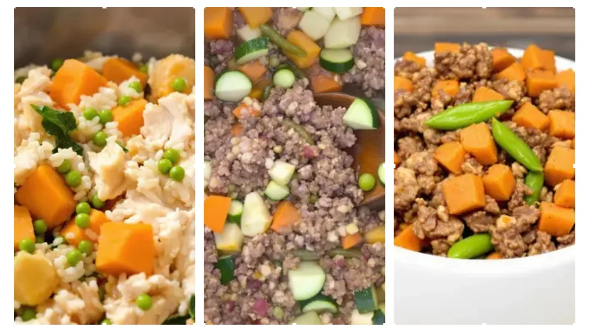 Homemade Instant Pot Dog Food Recipes