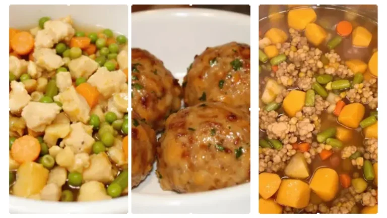 Homemade Senior Dog Food Recipes