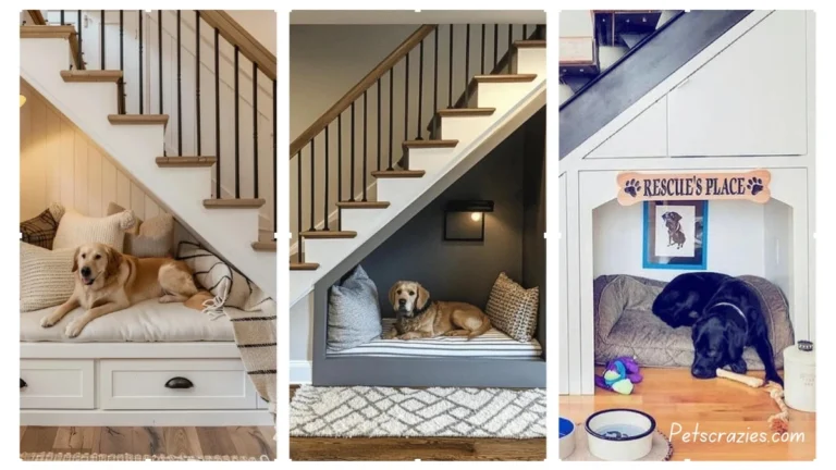 20 Cozy Under Stairs Dog Room Ideas to Maximize Space!