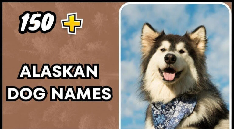 Alaskan Dog Names (Fresh Ideas)