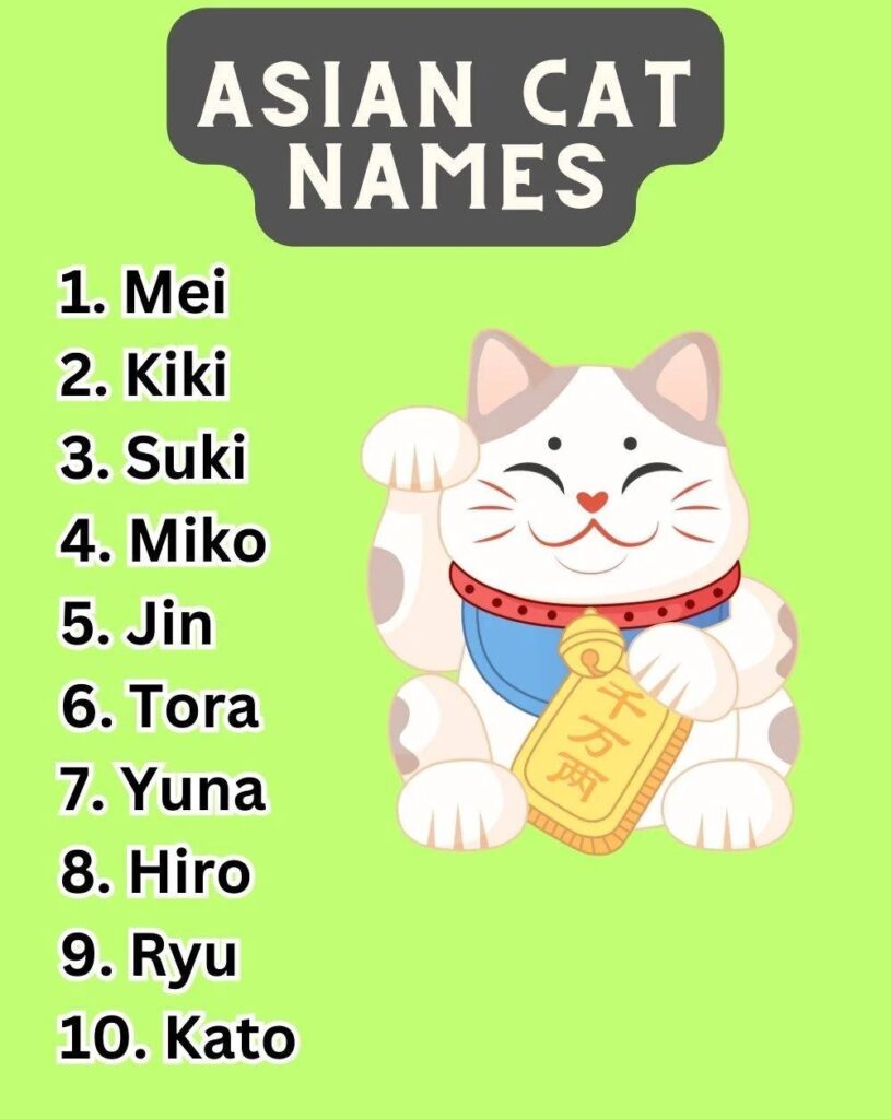 Asian Cat Names 
