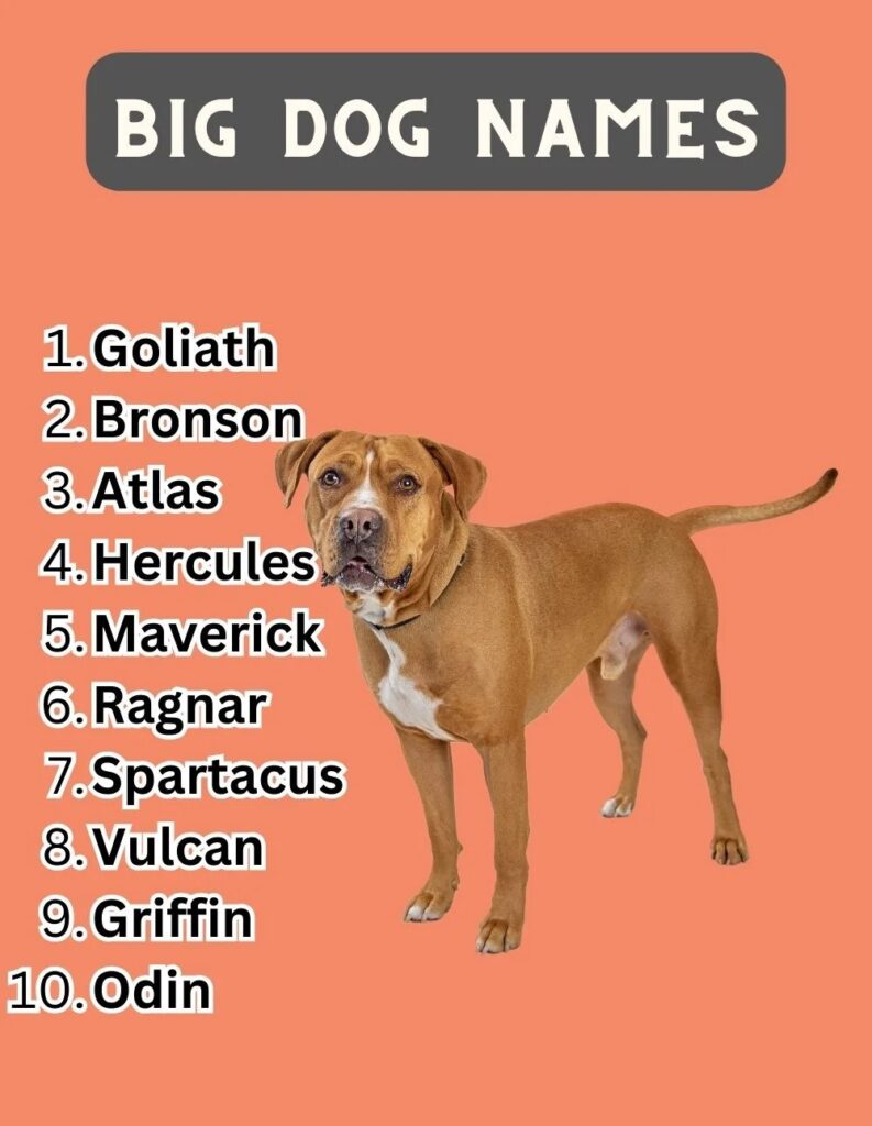  big dog names 