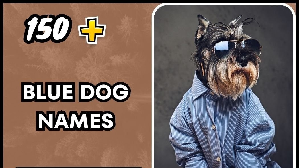 blue dog names