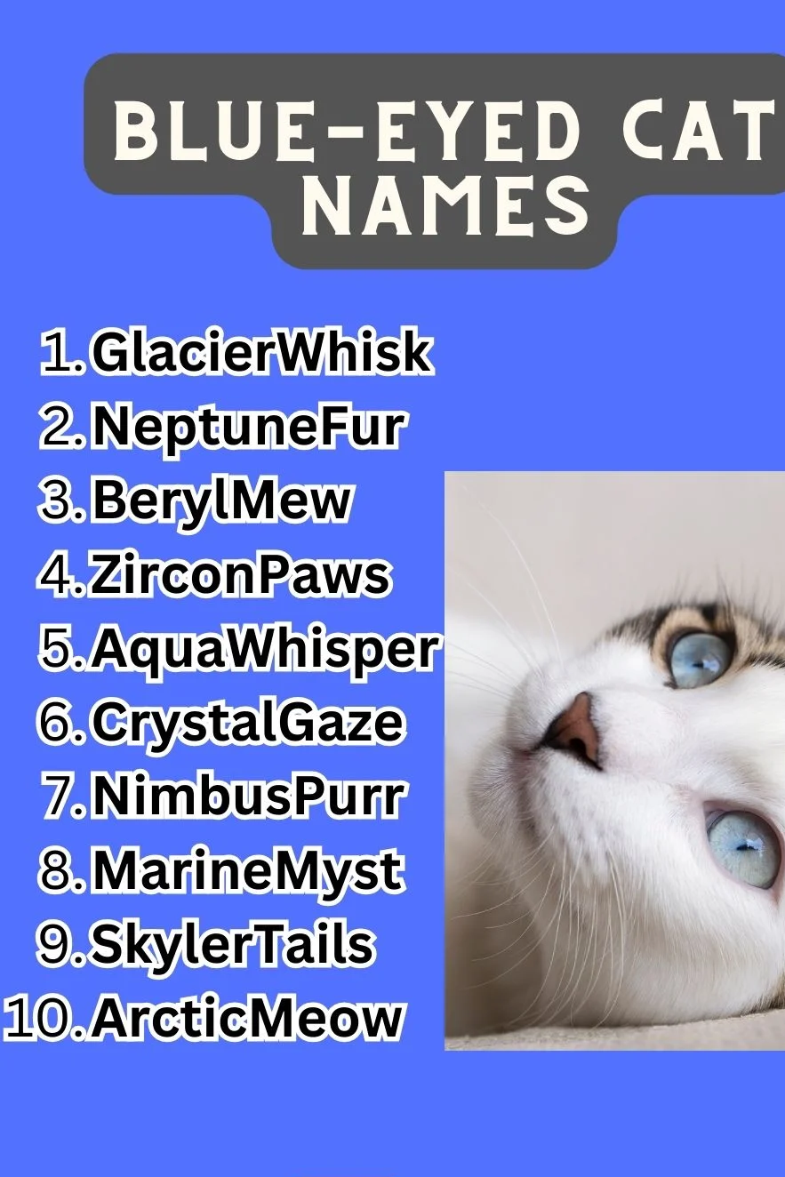 Blue-Eyed Cat Names