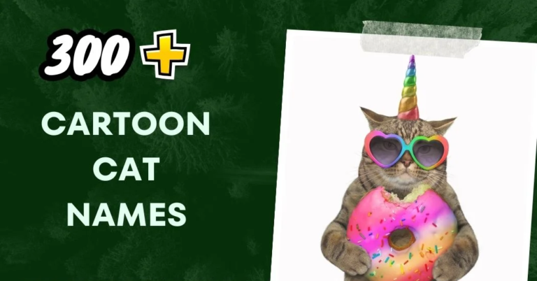 Cartoon Cat Names (300+ Nostalgic Picks)