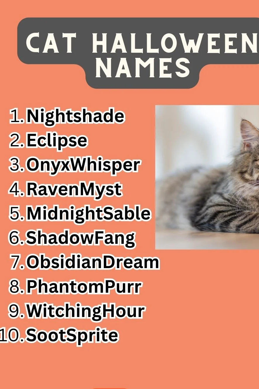 Cat Halloween Names 