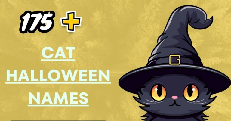 Cat Halloween Names – Spooky & Fun Ideas