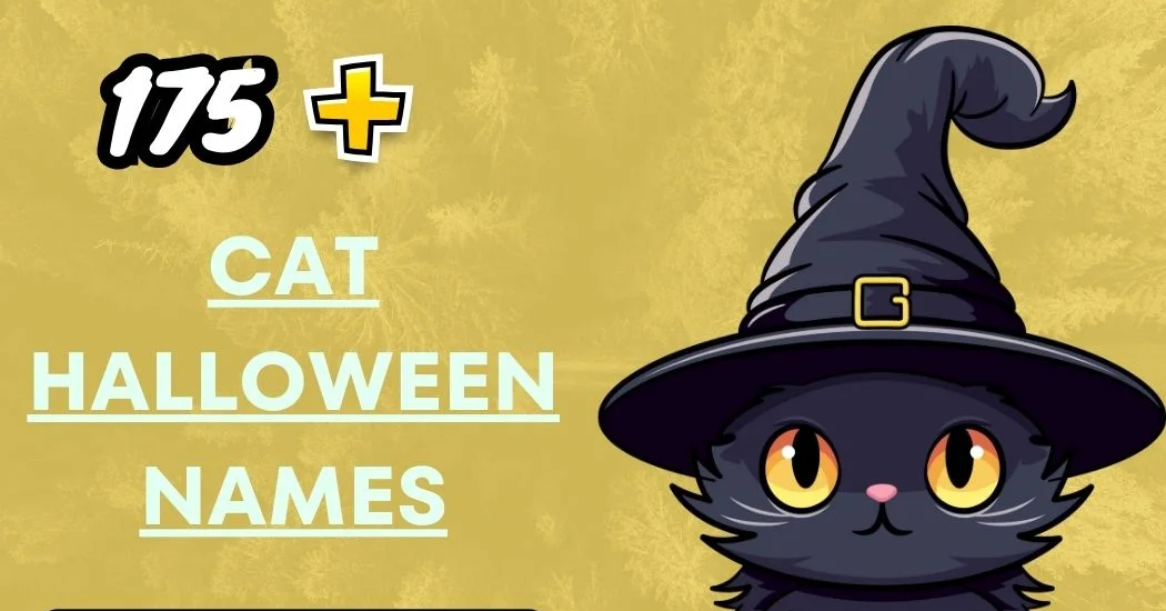 Cat Halloween Names – Spooky & Fun Ideas