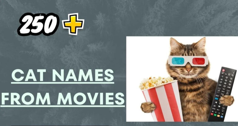 Cat Names From Movies – Iconic And Memorable Picks