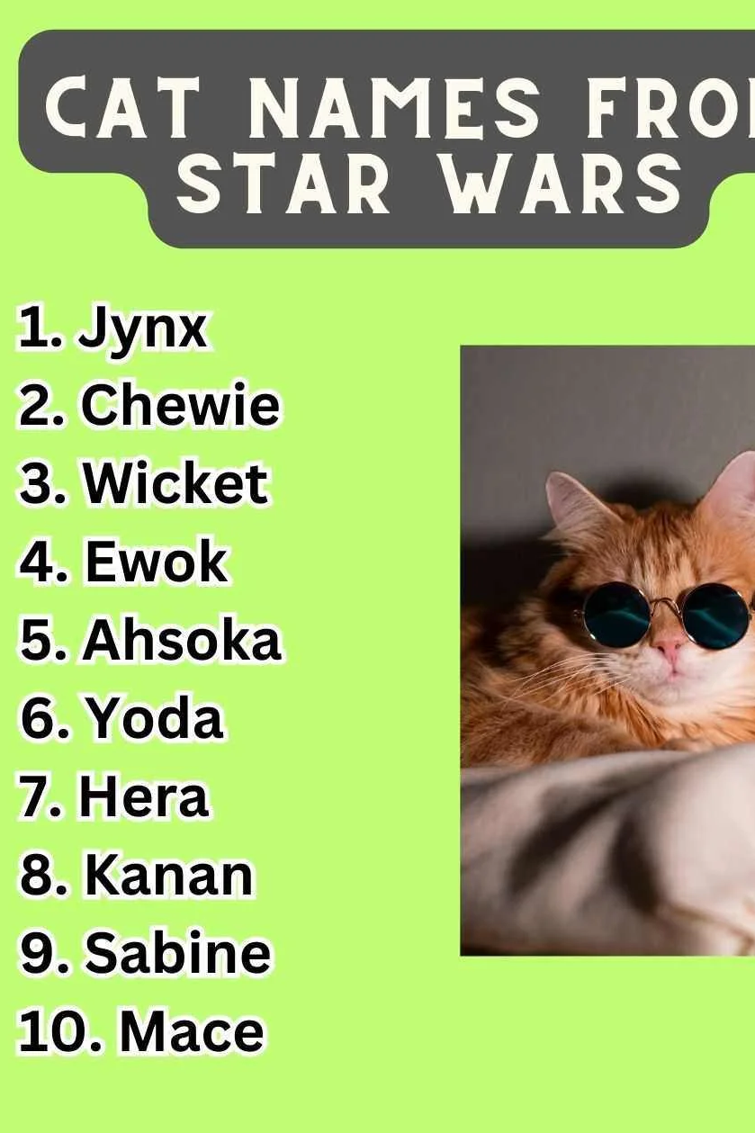 cat names