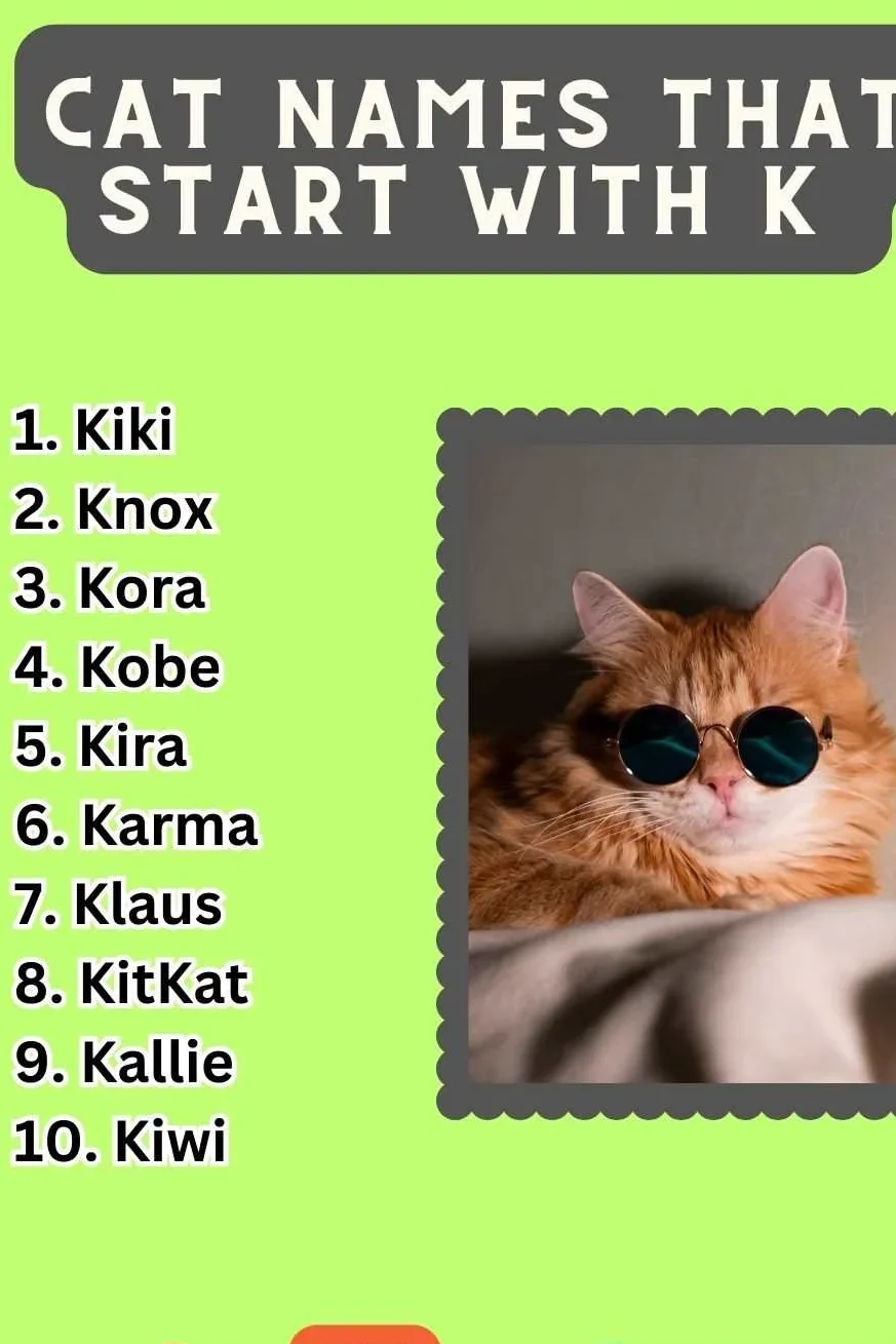 Cat Names That Start With K