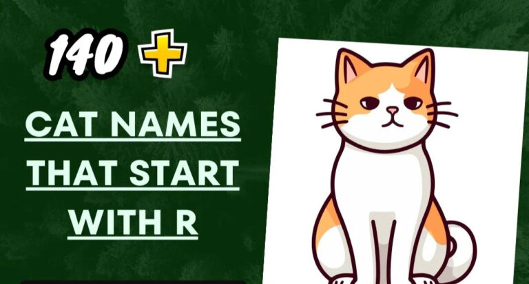 Cat Names That Start With R – Stunning Cat Names