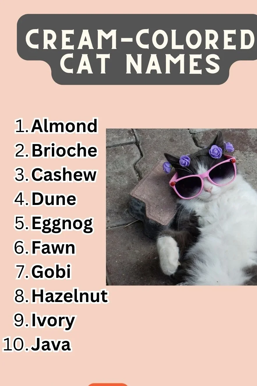 Letter Cat Names