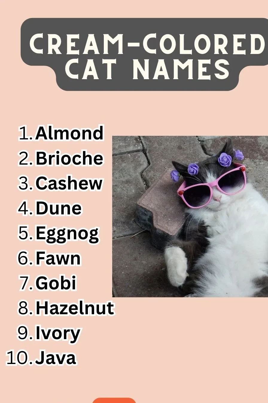 Cream-Colored Cat Names