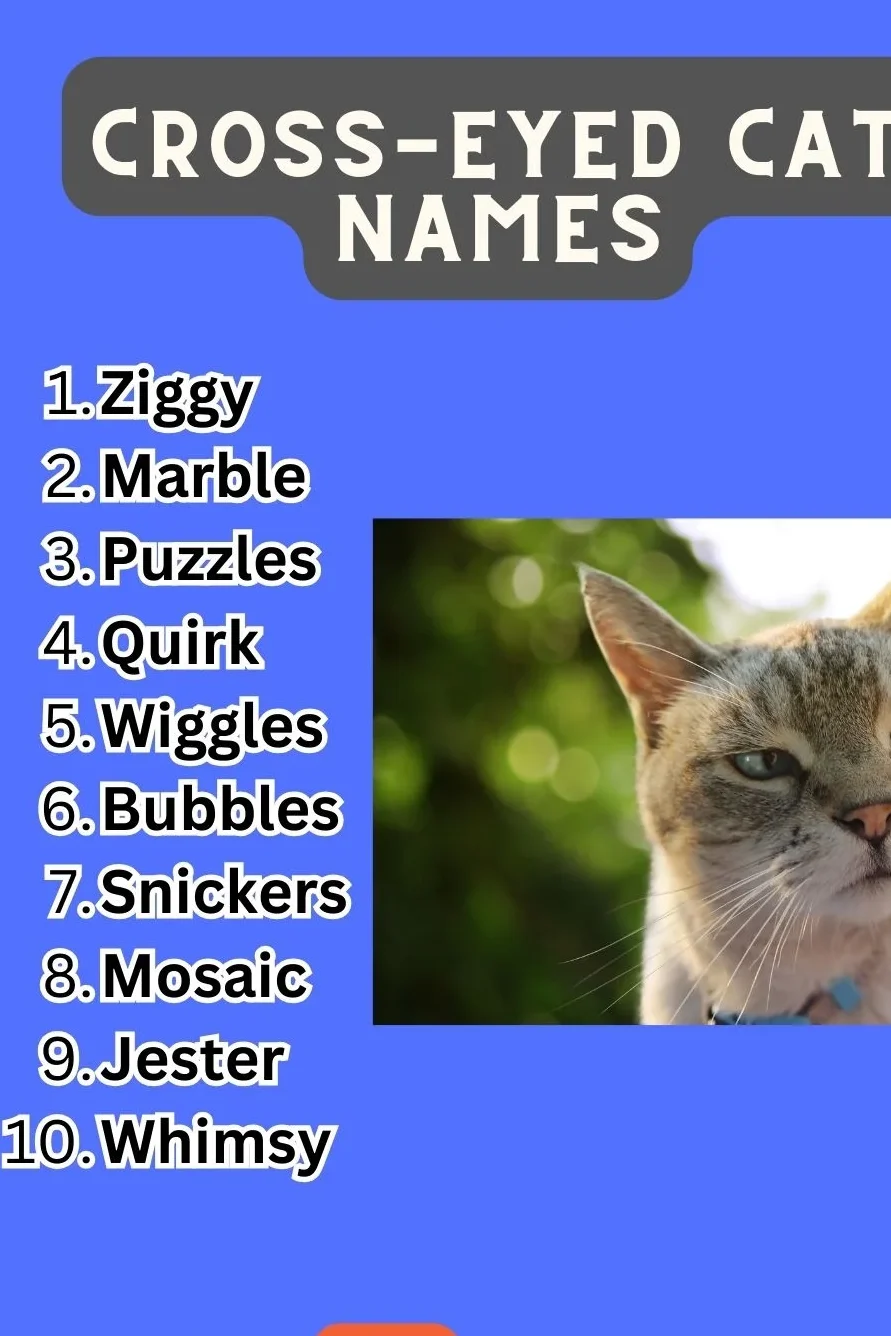 Favourite Cross-Eyed Cat Names