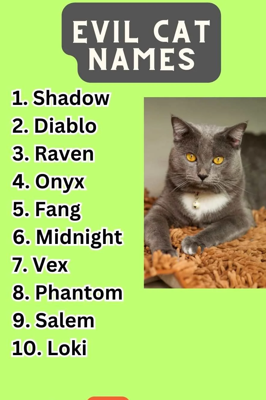 Evil Cat Names 