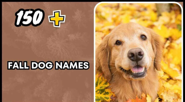 Fall Dog Names (Cozy Choices)