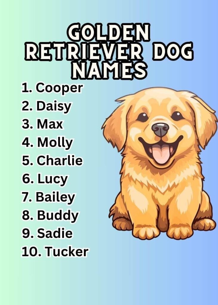 Golden Retriever Dog Names