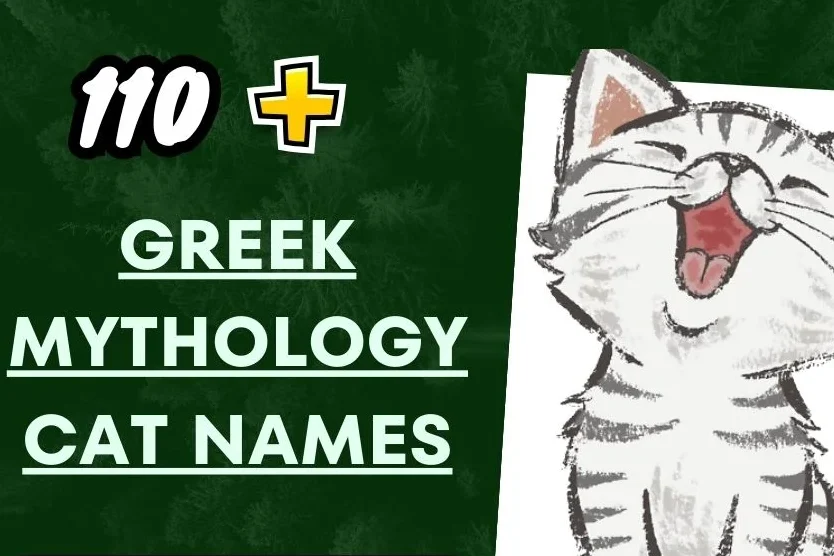 Greek Mythology Cat Names