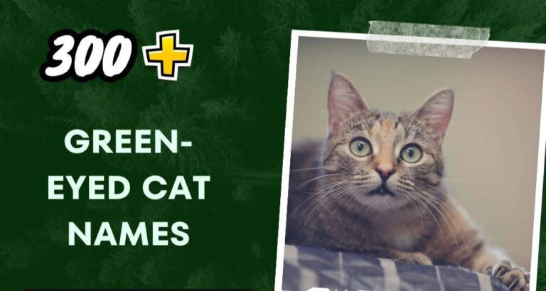 Green-Eyed Cat Names (300+ Creative Ideas)