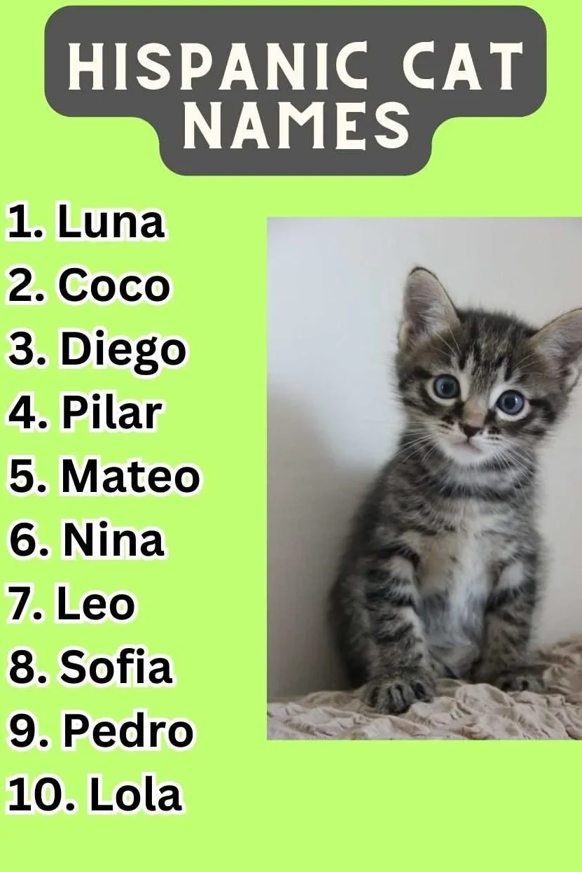 Hispanic Cat Names 