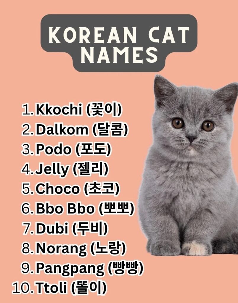 Korean Cat Names