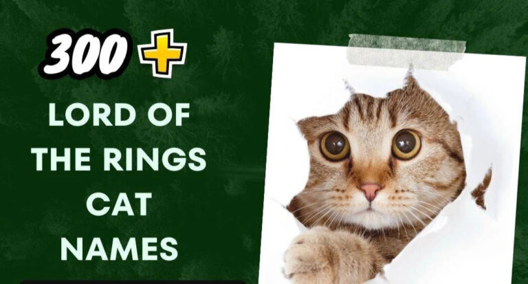 Lord Of The Rings Cat Names (300+ Mystical Feline Monikers)