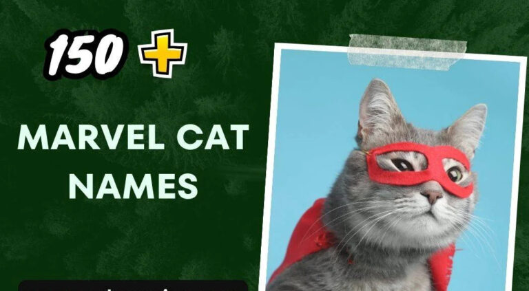 Marvel Cat Names (150+ Creative Ideas)