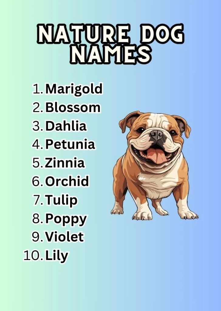 nature dog names 