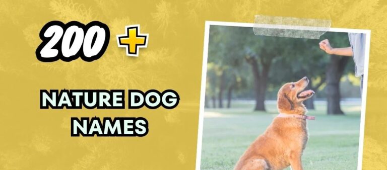 nature dog names