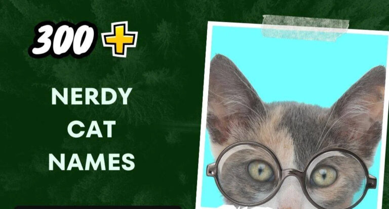 Nerdy Cat Names (300+ Geeky Inspiration)