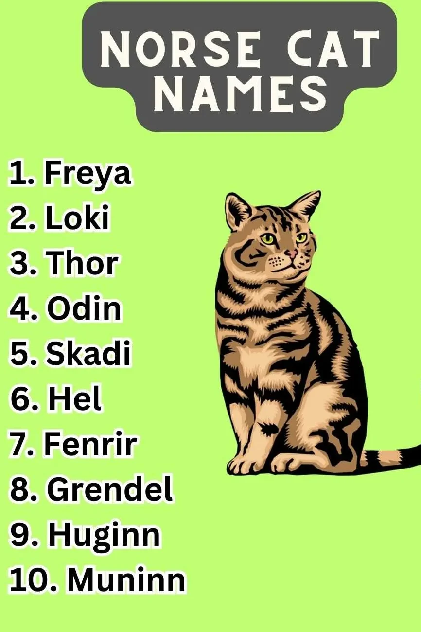 Art Inspired Cat Names (200+ Stunning Ideas)