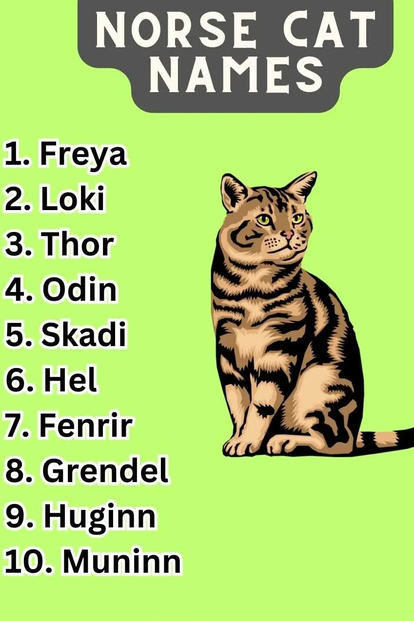Norse cat names