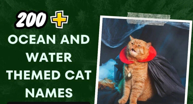 Ocean And Water Themed Cat Names (200+ Stunning Ideas)