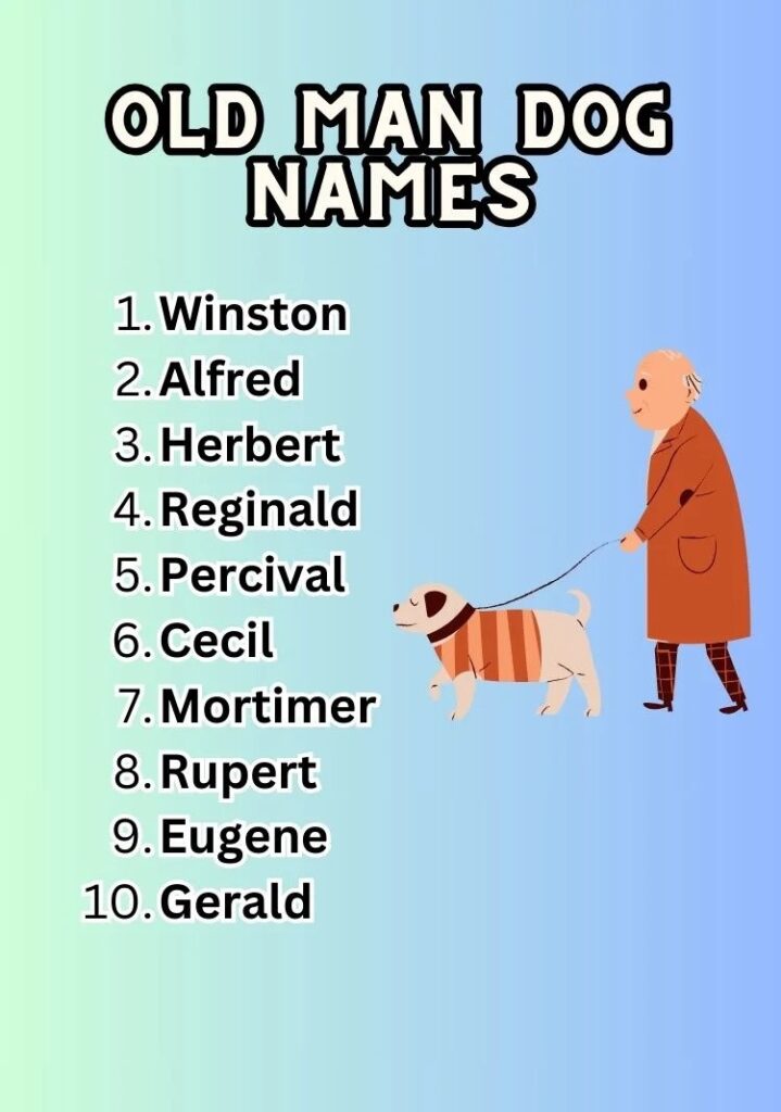 Favorite Old Man Dog Names
