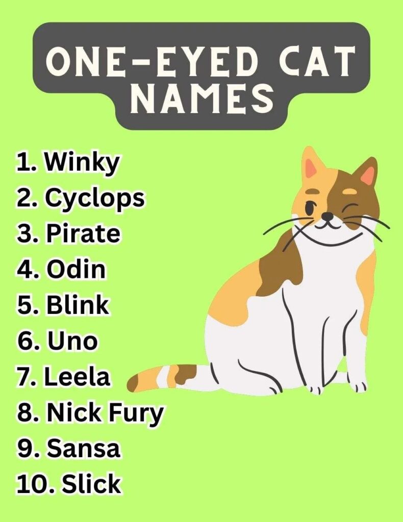 one-eyed cat names