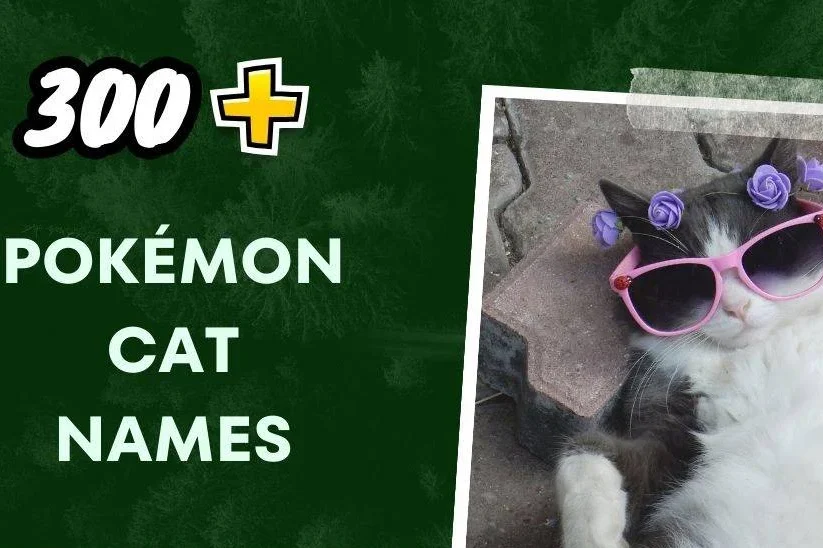 Pokémon Cat Names
