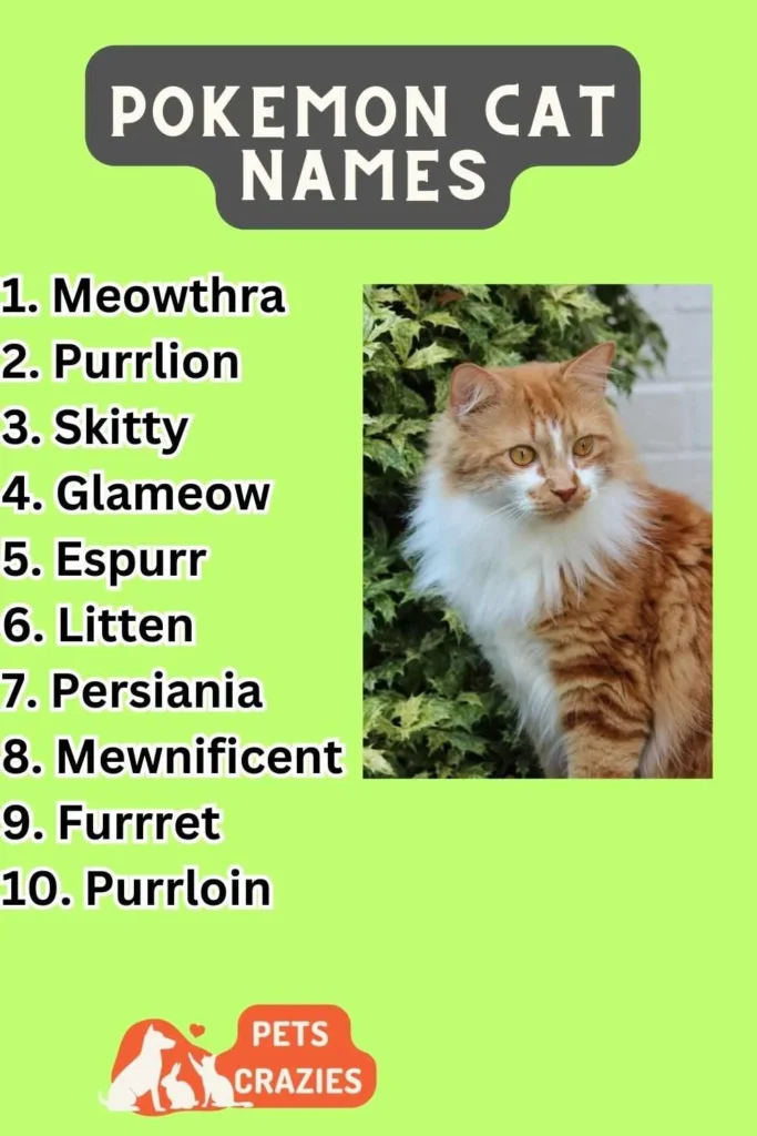 Pokémon Cat Names