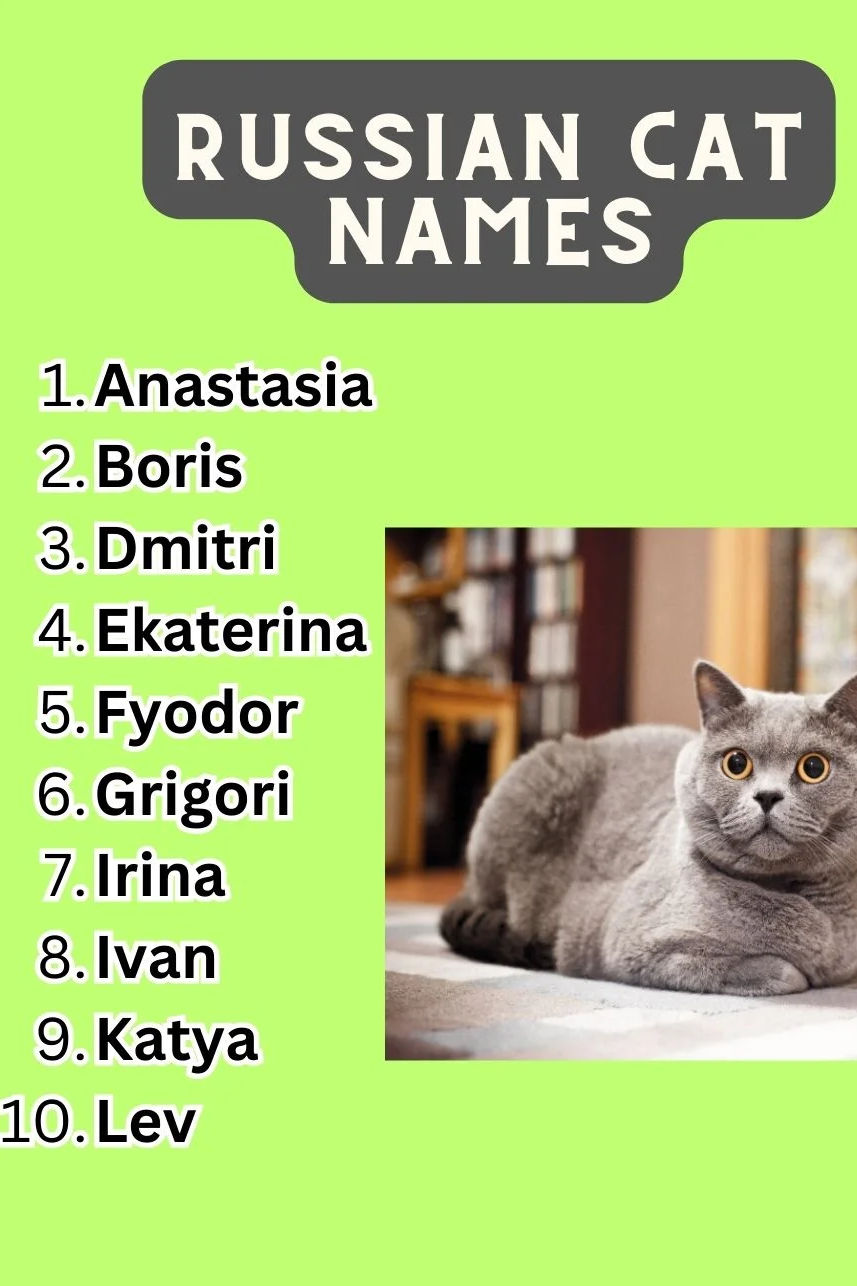 Russian Cat Names 