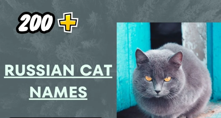 Russian Cat Names