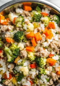 Simple 4-Ingredient Dog Food Recipe (Wholesome Homemade Meals Made Easy)