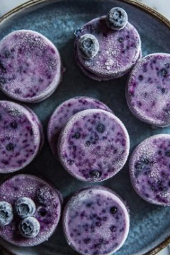 4 Homemade Frozen Dog Treats with Blueberries
