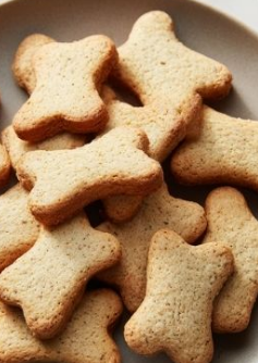 Cottage Cheese Dog Treats: 2 Easy Recipes Your Dog Will Lose It Over