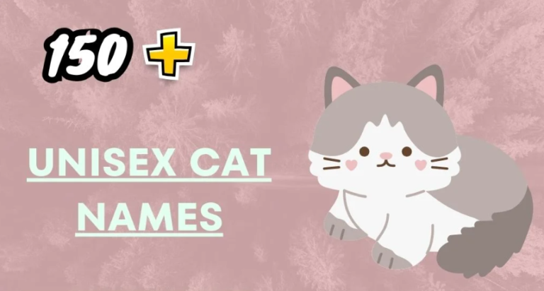Unisex Cat Names – The Perfect Fit For Any Kitty