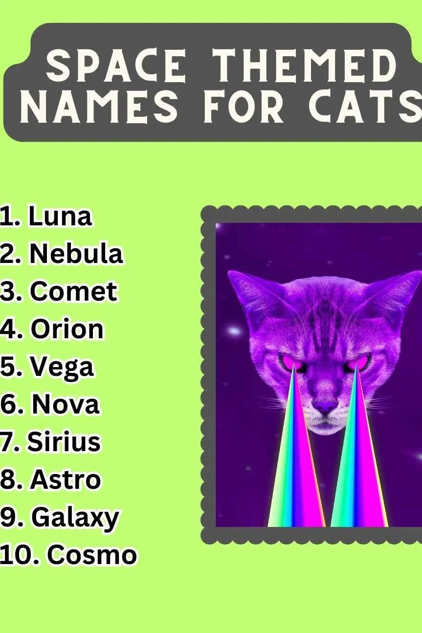 Space Themed Names For Cats (200+ Creative Ideas)