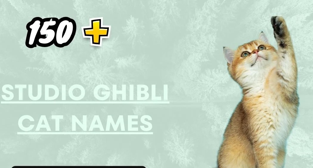Ghibli Cat Names