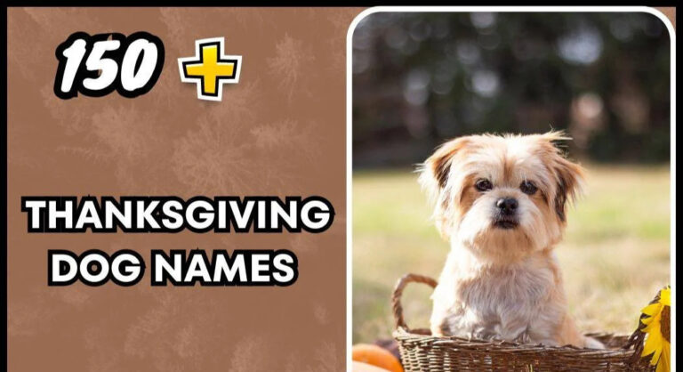 Thanksgiving Dog Names – Festive & Fun
