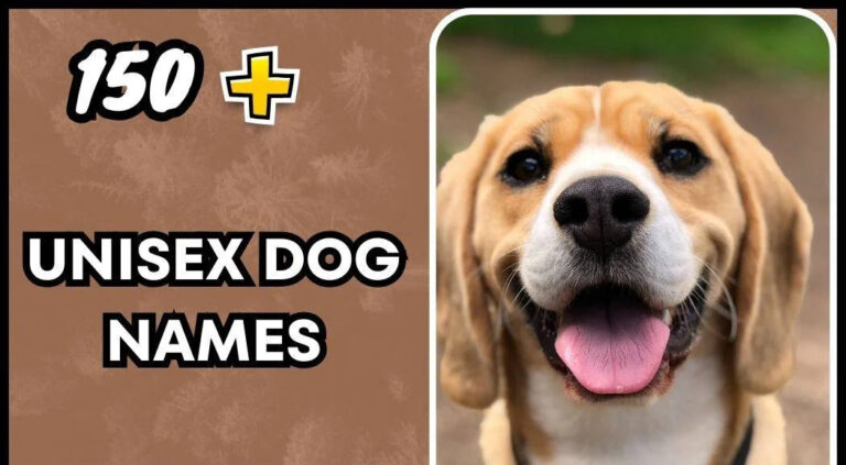 Unisex Dog Names – Easy Selection