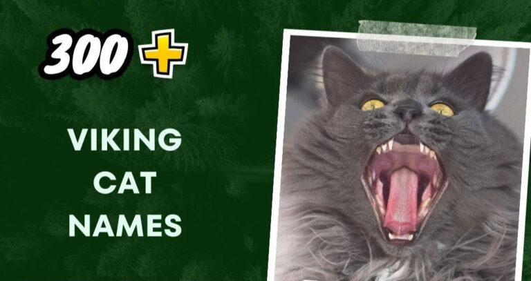 Viking Cat Names (300+ Mighty Companions)